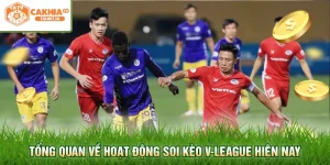 Tổng quan về hoạt động soi kèo V-League hiện nay